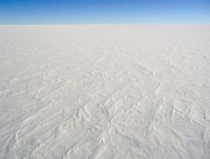 Земля - слякотный снежок Соотношение изотопов углерода: отсутствие фотосинтеза